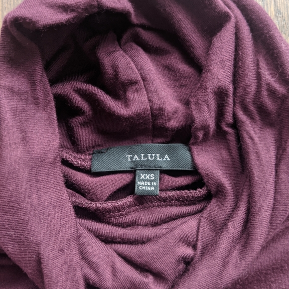 Aritzia Talula Hatton Dress - Picture 5 of 7